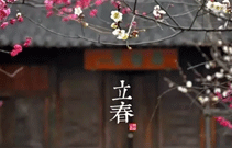 领步节气播报——今日立春！