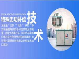 特殊无功补偿装置